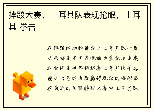 摔跤大赛，土耳其队表现抢眼，土耳其 拳击