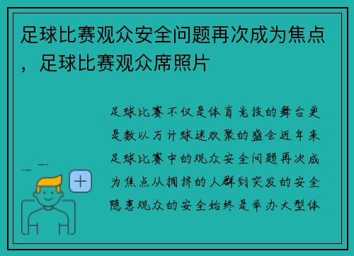 足球比赛观众安全问题再次成为焦点，足球比赛观众席照片